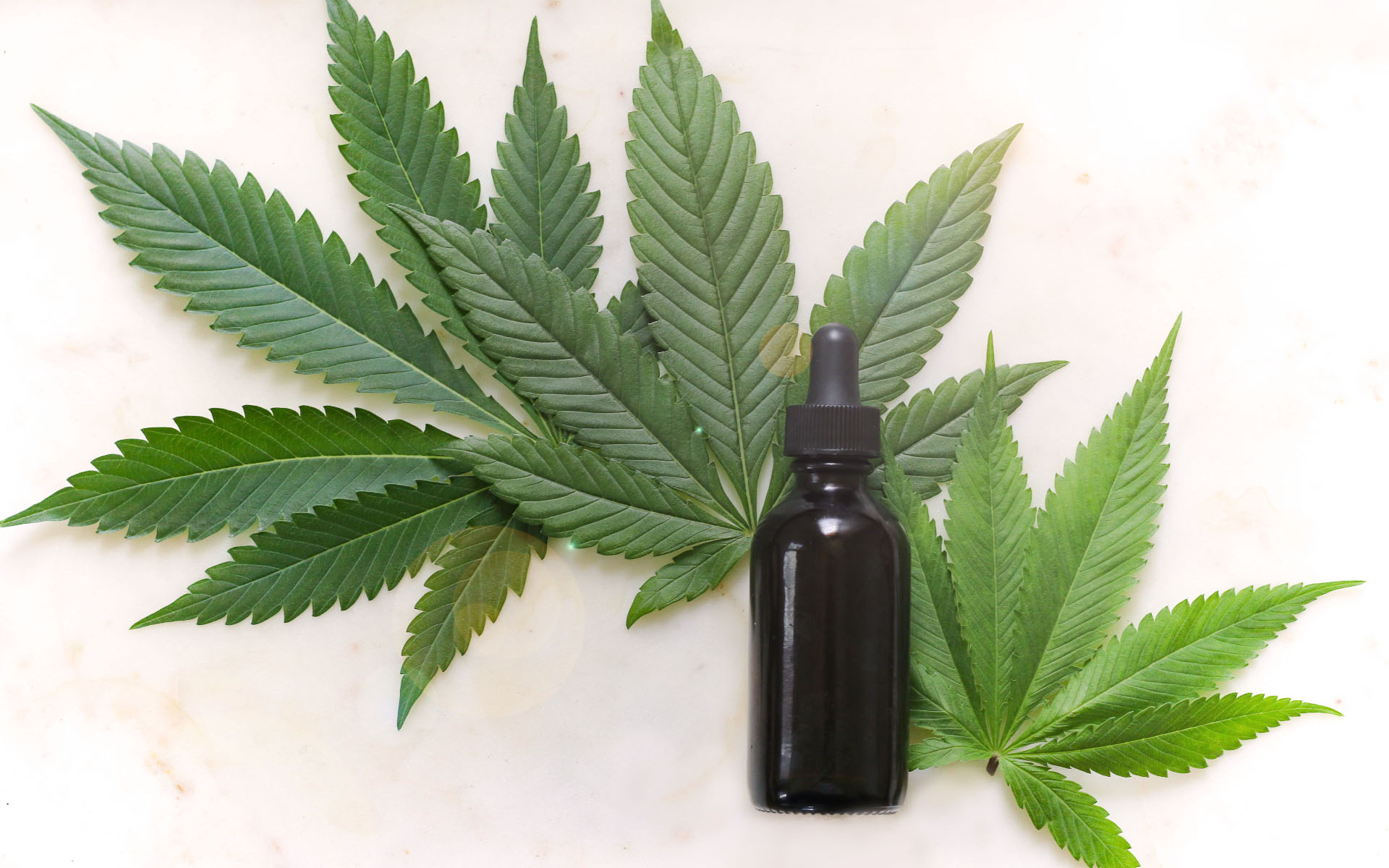 Simple Guide On How to Buy CBD Oil in Australia UPDATED 2020