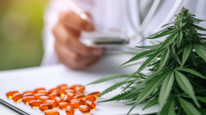 Medical Cannabis in Australia